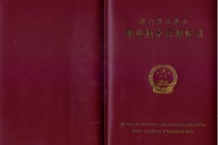 西安文化艺术交流与策划 连接庆典服务与企业管理的桥梁